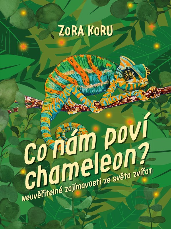 Co nám poví chameleon Co nám poví chameleon