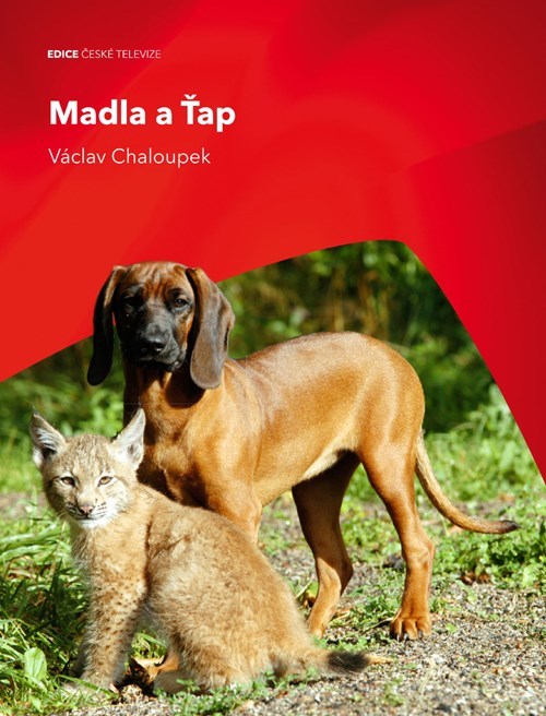 Madla a Ťap Madla a Ťap