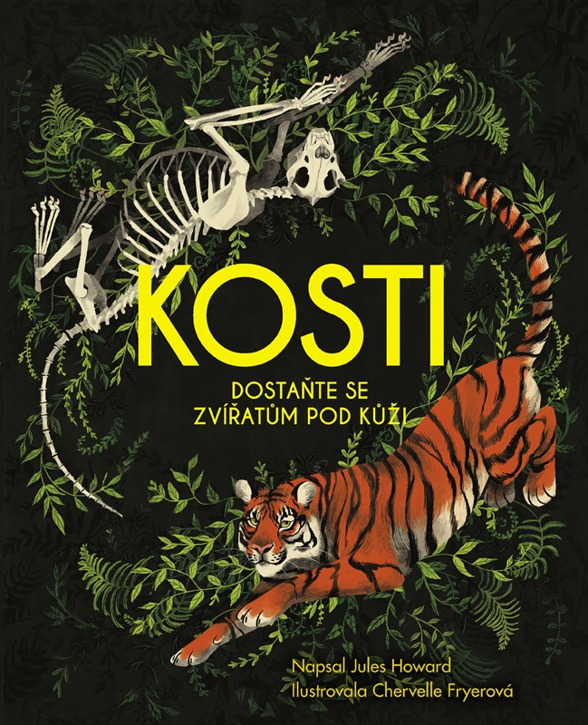 Kosti Kosti