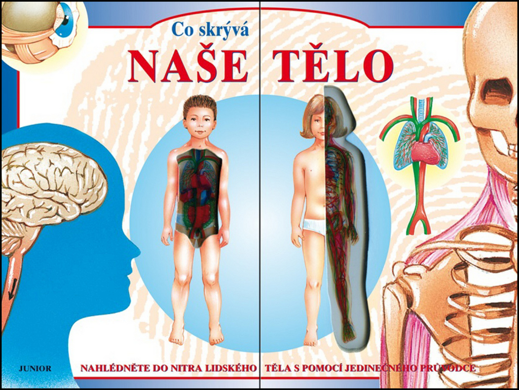 Co skrývá naše tělo Co skrývá naše tělo